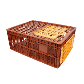 300800 Poultry crate Burdis