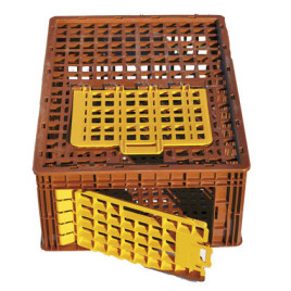 300800 Poultry crate