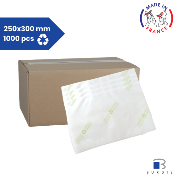 Carton of 1000 vacuum bags 250x300 recyclable - 90 mµ Burdis