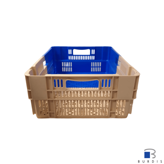 6419 bicolor plastic crate - royal blue BURDIS
