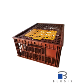 300800 Poultry crate - 1 door