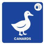 canard