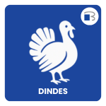 dinde