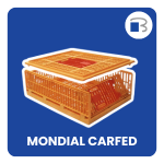 mondialcarfed